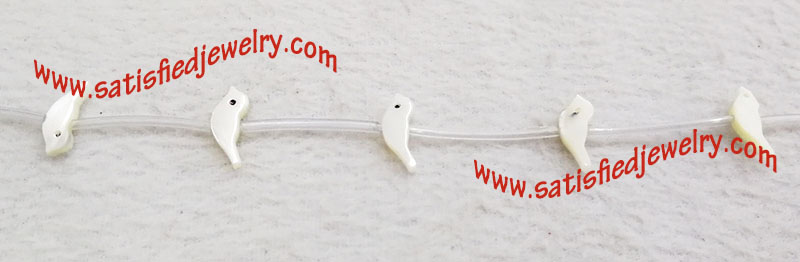 BSHELL0158 - 1.jpg BSHELL0158 - 1.jpg