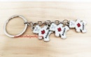 Keyrings with pendant - Keyrings0047