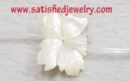 25-30mm Flat Shell Beads - BSHELL0014