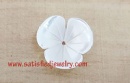 15mm Shell Beads - BSHELL0178