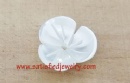 12mm Shell Beads - BSHELL0181