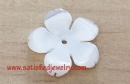 15mm Shell Beads - BSHELL0184