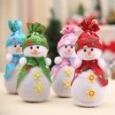 Christmas Ornament - STFHB0173